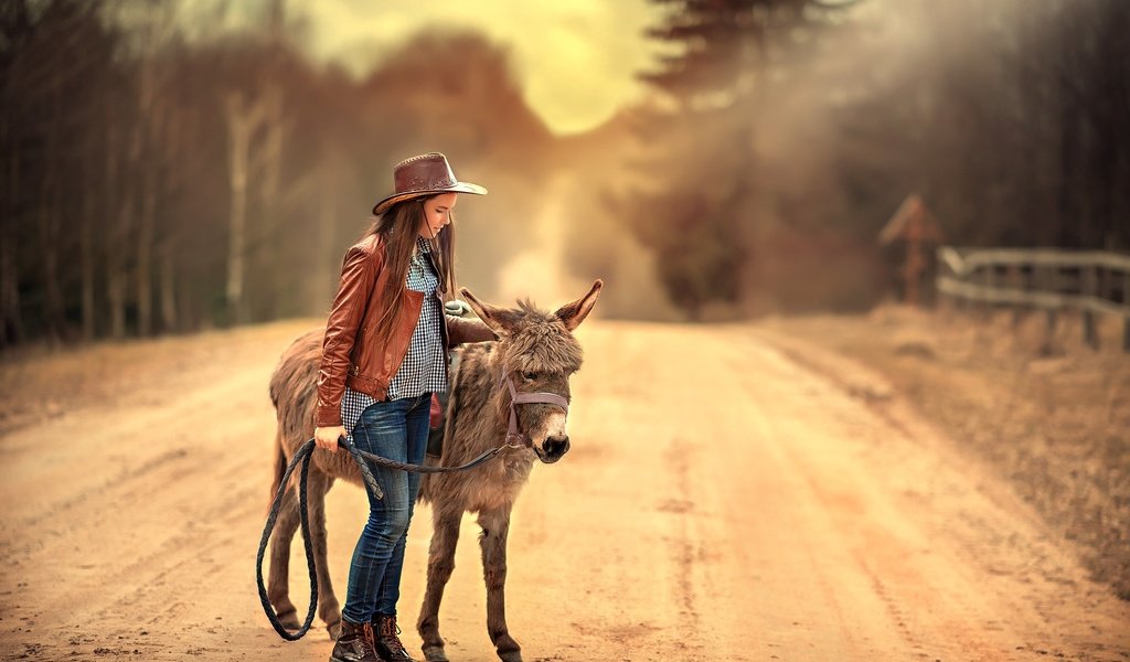 Обои дорога, девушка, джинсы, волосы, шляпа, кожанка, ослик, road, girl, jeans, hair, hat, kozhanka, donkey разрешение 2200x1469 Загрузить