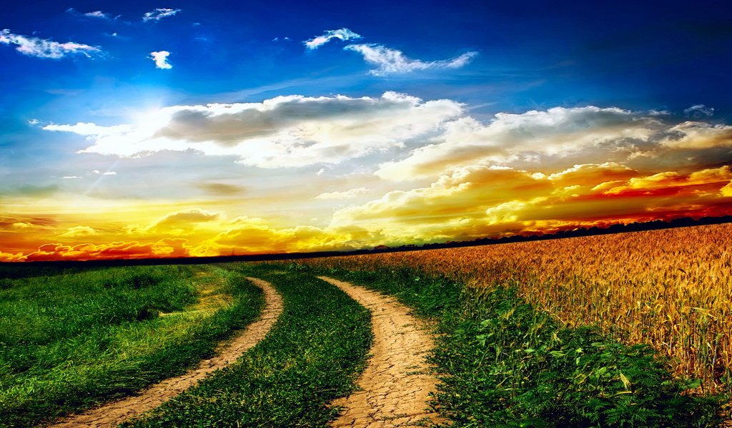 Обои небо, дорога, трава, облака, солнце, природа, поле, the sky, road, grass, clouds, the sun, nature, field разрешение 2560x1600 Загрузить