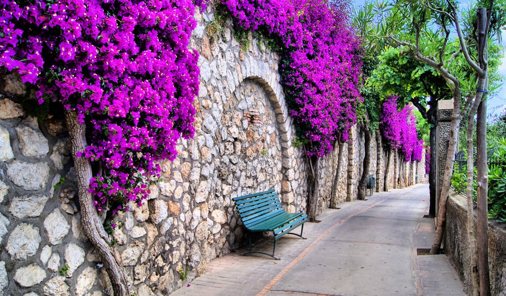 Обои цветы, дорожка, стена, улица, италия, романтика, скамейка, flowers, track, wall, street, italy, romance, bench разрешение 2560x1440 Загрузить