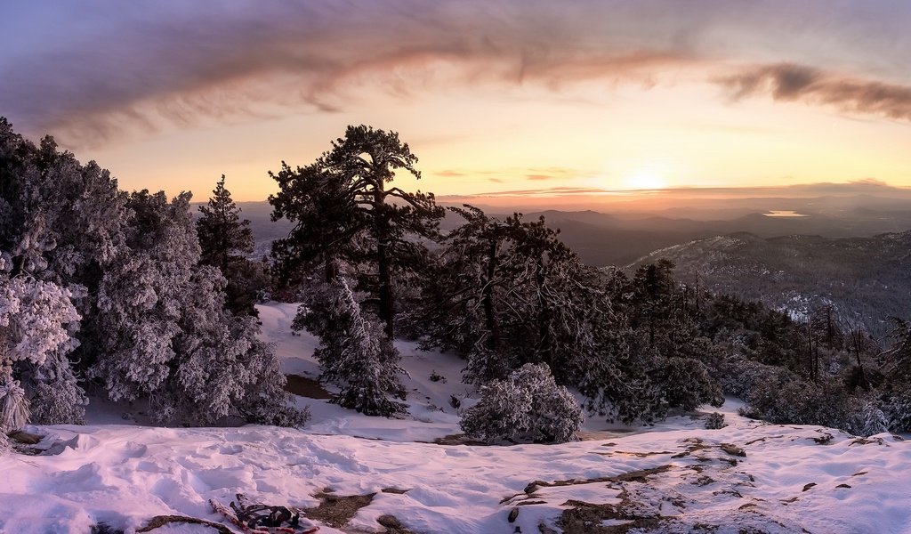 Обои деревья, горы, снег, лес, закат, зима, trees, mountains, snow, forest, sunset, winter разрешение 1920x1100 Загрузить