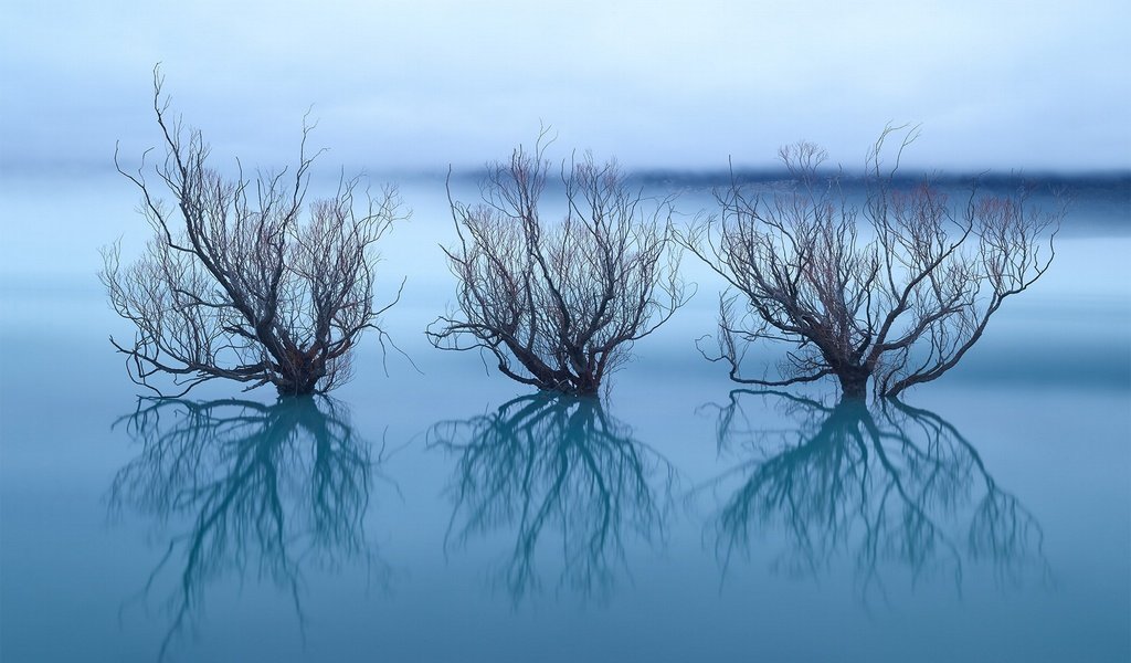 Обои небо, деревья, озеро, отражение, ветки, горизонт, the sky, trees, lake, reflection, branches, horizon разрешение 2048x1365 Загрузить