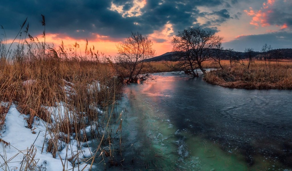 Обои деревья, река, снег, закат, лёд, россия, камыш, приморский край, trees, river, snow, sunset, ice, russia, reed, primorsky krai разрешение 2200x1174 Загрузить