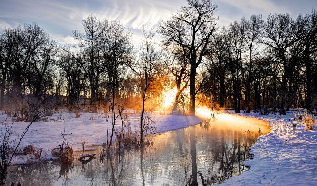 Обои деревья, река, закат, зима, пейзаж, trees, river, sunset, winter, landscape разрешение 2048x1365 Загрузить