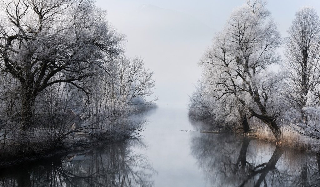 Обои деревья, река, зима, туман, ветки, trees, river, winter, fog, branches разрешение 2048x1365 Загрузить