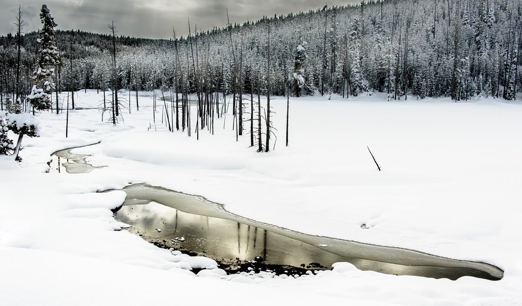 Обои деревья, вода, река, снег, лес, зима, trees, water, river, snow, forest, winter разрешение 2048x1363 Загрузить