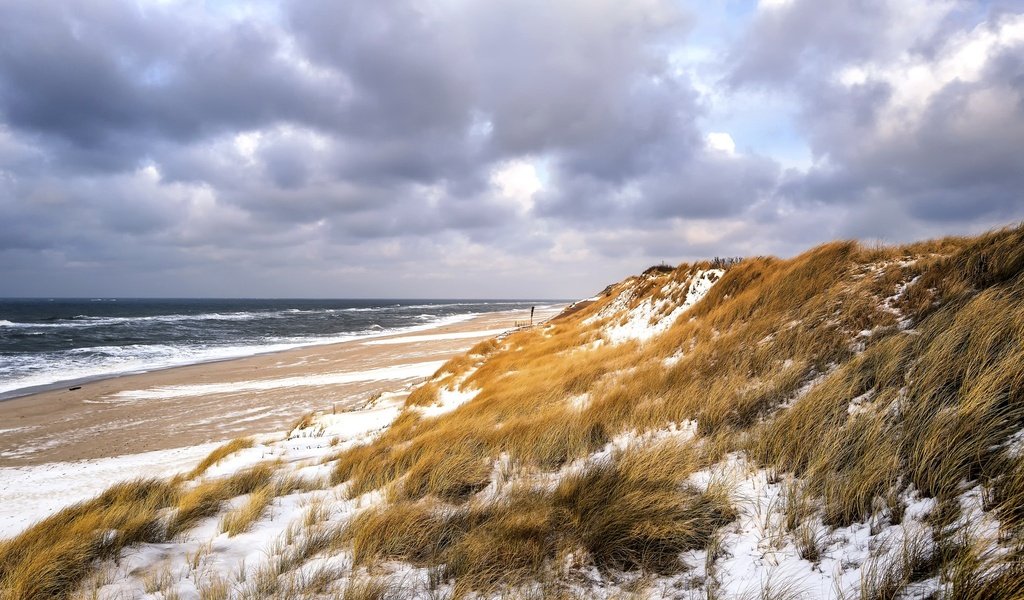 Обои небо, трава, зима, море, пляж, дюны, the sky, grass, winter, sea, beach, dunes разрешение 2048x1365 Загрузить