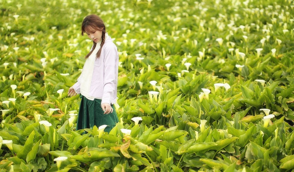 Обои цветы, поле, лето, лицо, прогулка, азиатка, косички, flowers, field, summer, face, walk, asian, braids разрешение 2048x1365 Загрузить