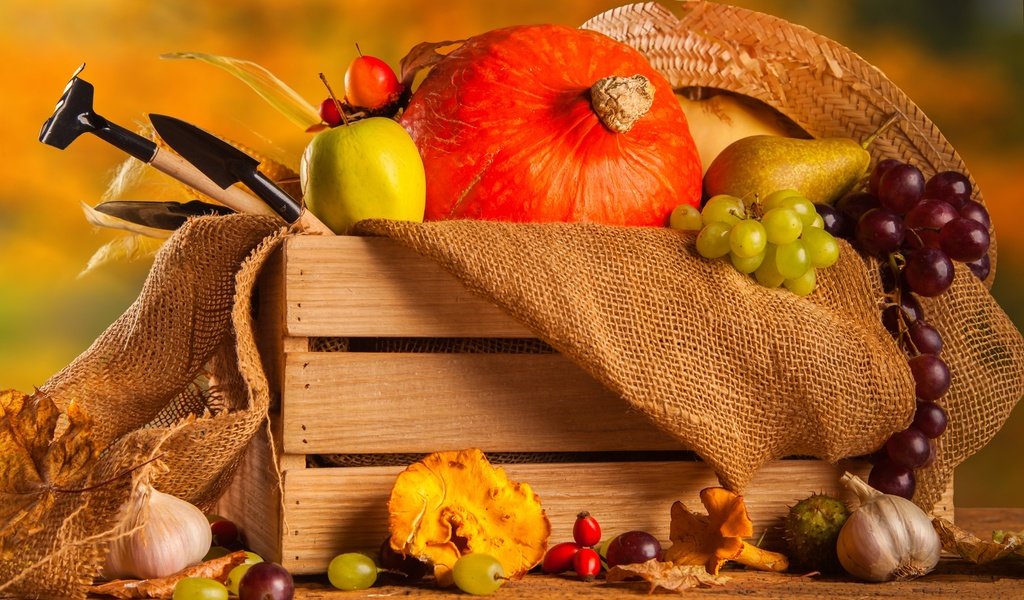 Обои виноград, груша, фрукты, чеснок, осень, мешковина, яблоко, осенний урожай, урожай, овощи, тыква, ящик, grapes, pear, fruit, garlic, autumn, burlap, apple, autumn harvest, harvest, vegetables, pumpkin, box разрешение 2555x1600 Загрузить