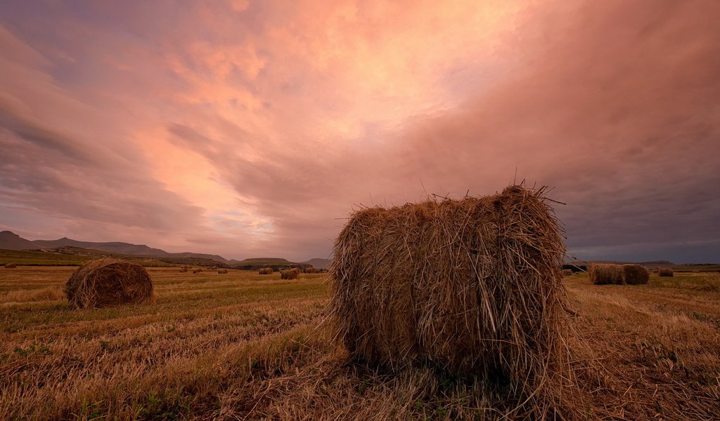 Обои закат, пейзаж, поле, сено, тюки, рулоны, sunset, landscape, field, hay, bales, rolls разрешение 1920x1200 Загрузить