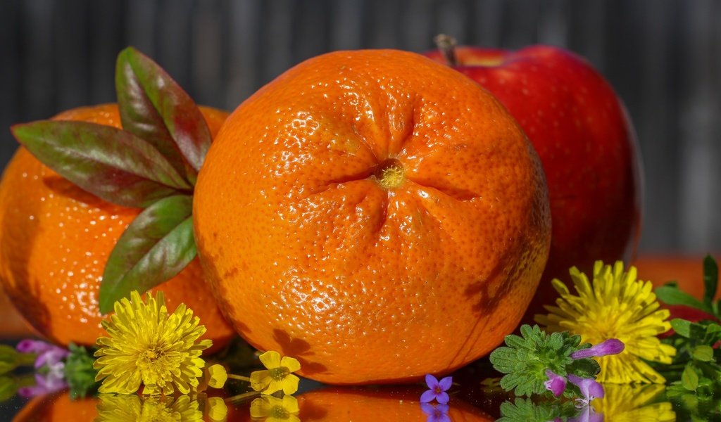 Обои цветы, фрукты, апельсин, яблоко, цитрус, flowers, fruit, orange, apple, citrus разрешение 2048x1278 Загрузить