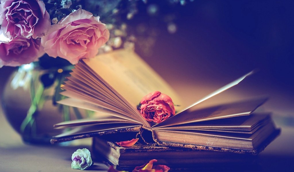 Обои цветы, стиль, розы, лепестки, книги, бутон, букет, flowers, style, roses, petals, books, bud, bouquet разрешение 2048x1365 Загрузить