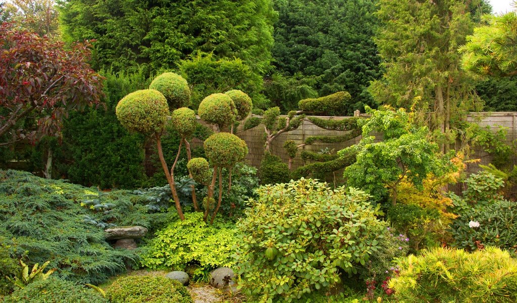 Обои деревья, зелень, парк, кусты, забор, сад, англия, bewdley, west midland safari park, trees, greens, park, the bushes, the fence, garden, england разрешение 3500x2075 Загрузить