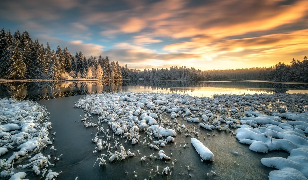 Обои небо, озеро, снег, лес, зима, утро, швейцария, the sky, lake, snow, forest, winter, morning, switzerland разрешение 2499x1562 Загрузить