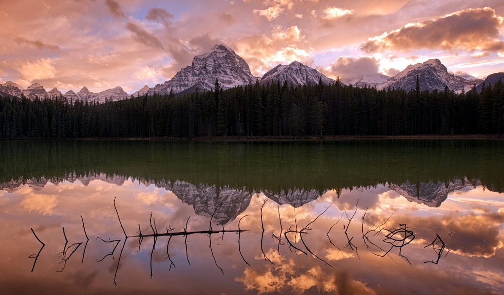 Обои облака, озеро, горы, лес, отражение, коряга, clouds, lake, mountains, forest, reflection, snag разрешение 1920x1200 Загрузить