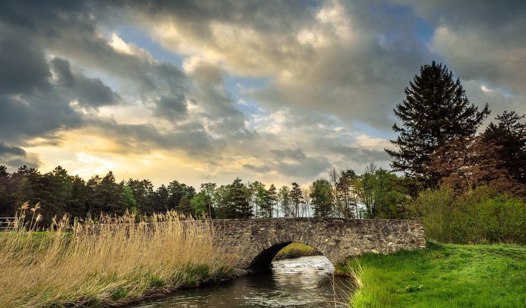 Обои небо, трава, облака, деревья, река, природа, мост, the sky, grass, clouds, trees, river, nature, bridge разрешение 2560x1709 Загрузить