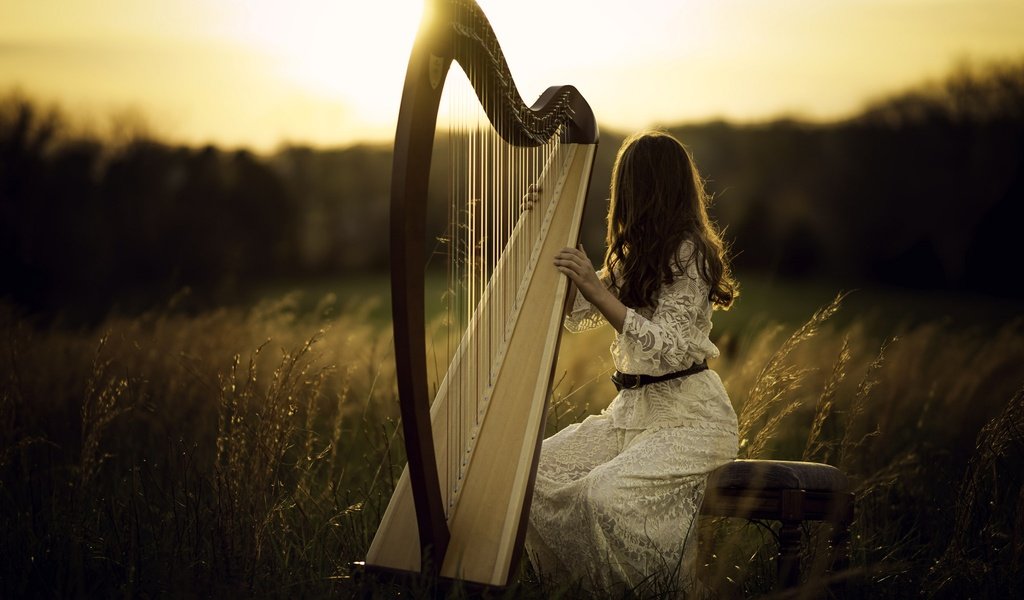 Обои свет, природа, девушка, поле, волосы, арфа, light, nature, girl, field, hair, harp разрешение 2048x1365 Загрузить