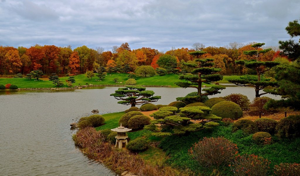 Обои трава, чикаго, деревья, botanic garden, дизайн, парк, кусты, осень, сша, пруд, grass, chicago, trees, design, park, the bushes, autumn, usa, pond разрешение 2525x1500 Загрузить