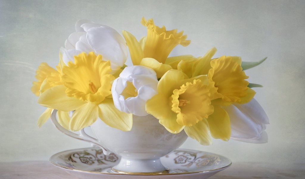 Обои цветы, блюдце, букет, тюльпаны, чашка, нарциссы, flowers, saucer, bouquet, tulips, cup, daffodils разрешение 2048x1434 Загрузить