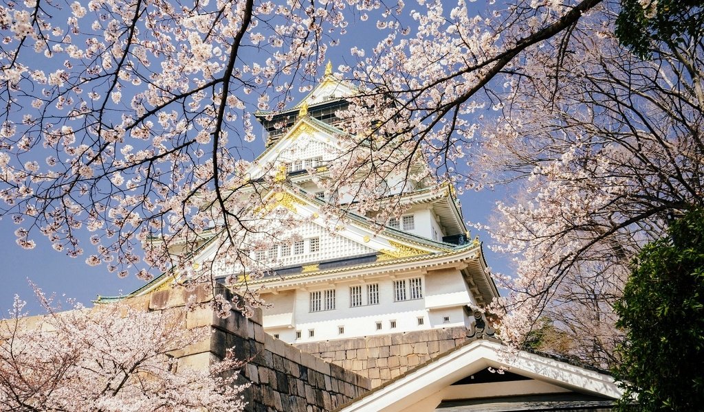 Обои небо, цветение, япония, весна, дворец, осака, the sky, flowering, japan, spring, palace, osaka разрешение 1920x1282 Загрузить