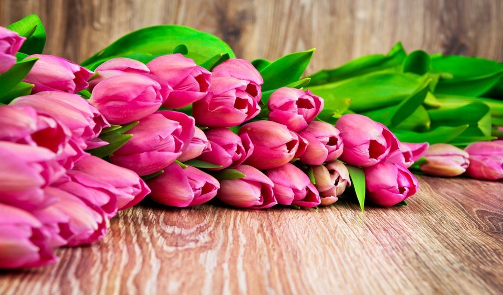 Обои цветы, бутоны, весна, тюльпаны, flowers, buds, spring, tulips разрешение 2880x1800 Загрузить