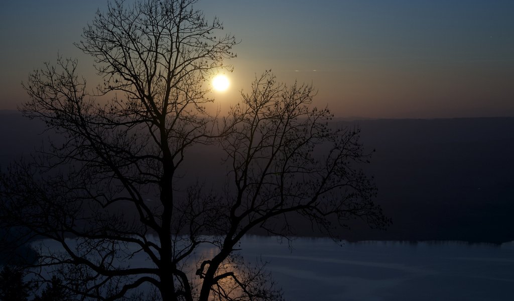 Обои дерево, утро, речка, tree, morning, river разрешение 1920x1200 Загрузить