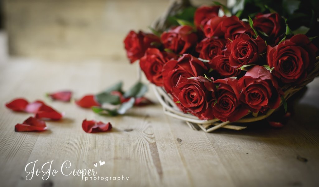 Обои цветы, розы, лепестки, букет, flowers, roses, petals, bouquet разрешение 2880x1800 Загрузить