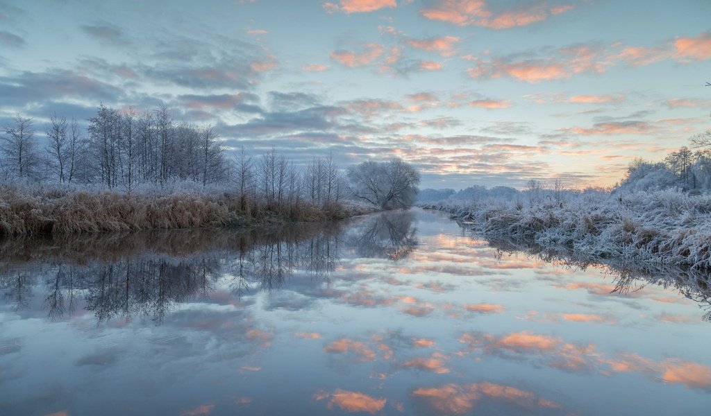 Обои небо, иней, облака, деревья, озеро, природа, лес, зима, пейзаж, the sky, frost, clouds, trees, lake, nature, forest, winter, landscape разрешение 1920x1200 Загрузить