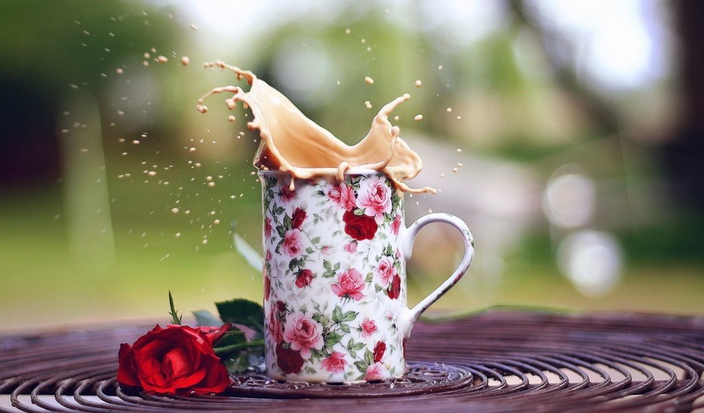 Обои напиток, цветок, роза, кофе, кружка, всплеск, капучино, drink, flower, rose, coffee, mug, splash, cappuccino разрешение 1920x1080 Загрузить