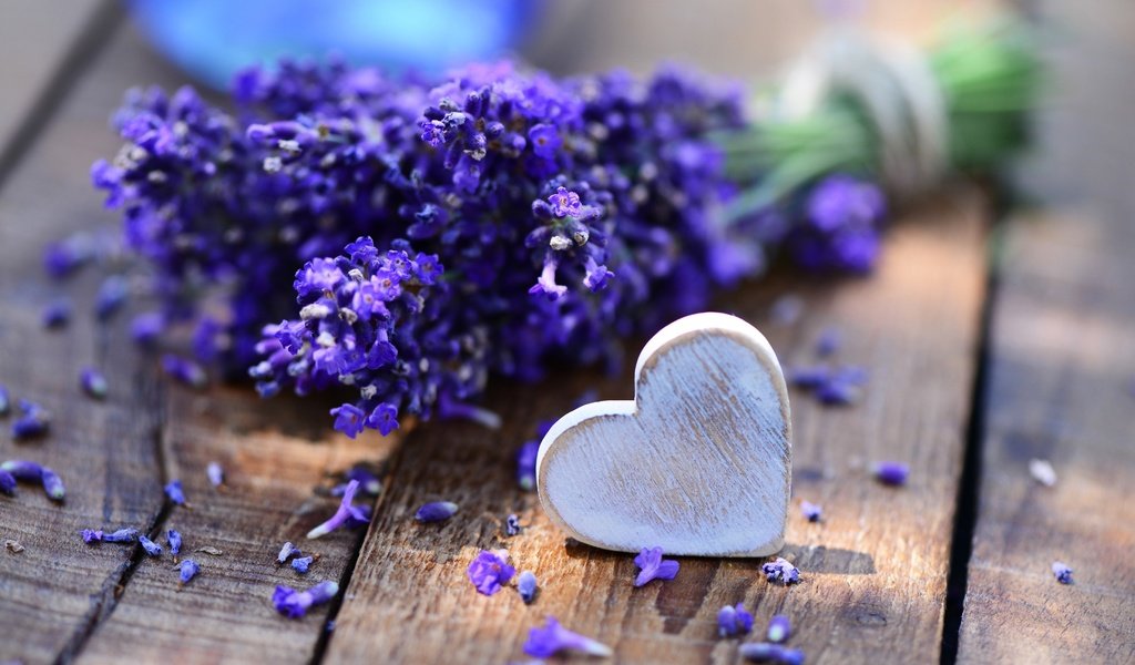 Обои цветы, лаванда, сердечко, стол, букет, сердце., flowers, lavender, heart, table, bouquet, heart. разрешение 2877x1920 Загрузить