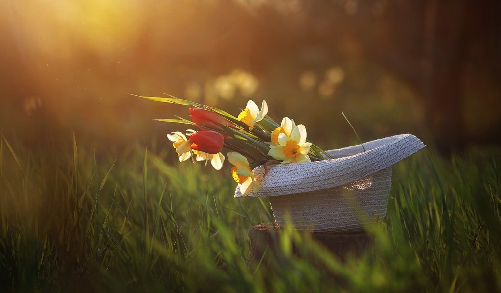 Обои цветы, трава, весна, тюльпаны, нарциссы, шляпа, flowers, grass, spring, tulips, daffodils, hat разрешение 2400x1521 Загрузить