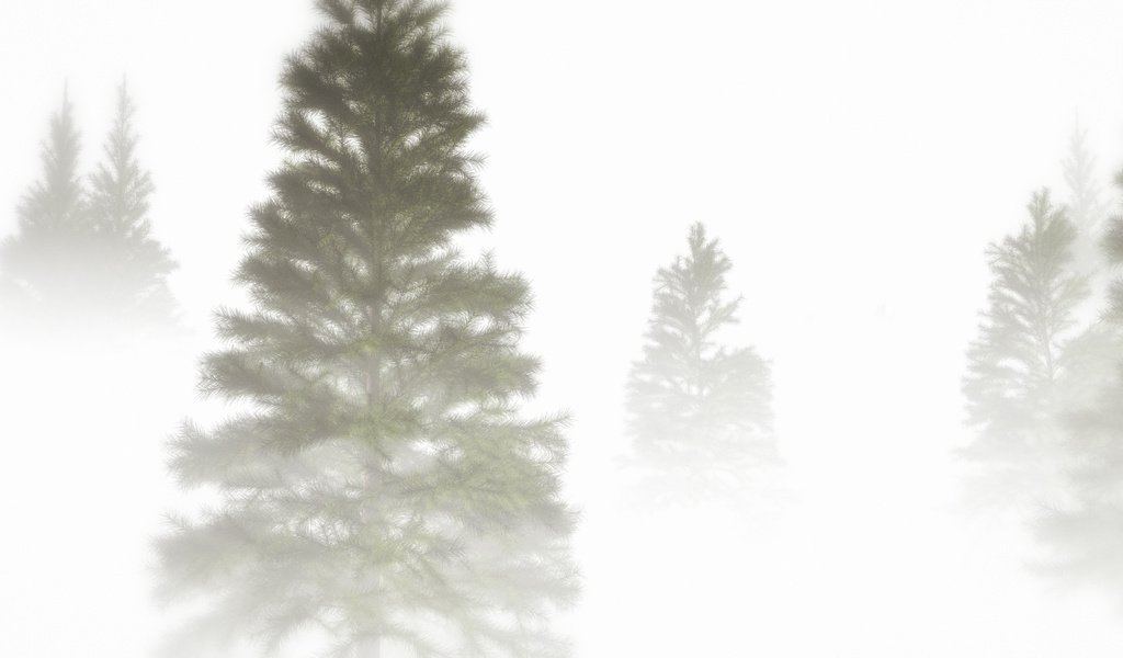 Обои природа, дерево, туман, ель, крона, nature, tree, fog, spruce, crown разрешение 3368x1901 Загрузить