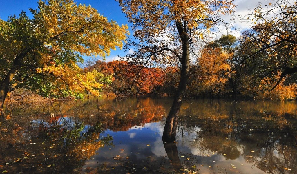 Обои вода, природа, осень, красиво, water, nature, autumn, beautiful разрешение 2560x1600 Загрузить