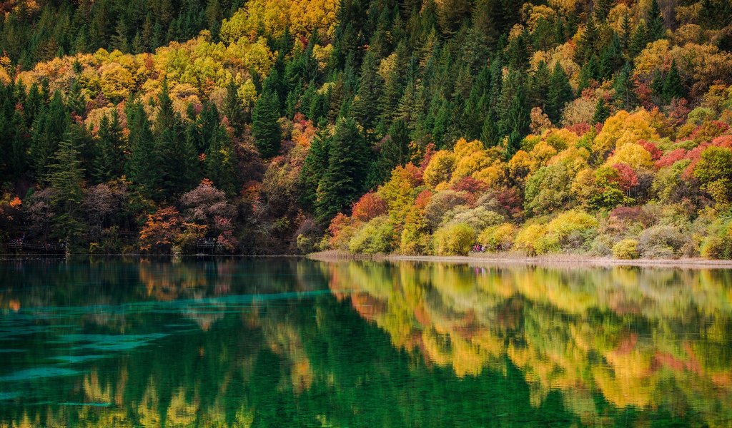 Обои река, природа, лес, отражение, пейзаж, осень, river, nature, forest, reflection, landscape, autumn разрешение 1920x1200 Загрузить