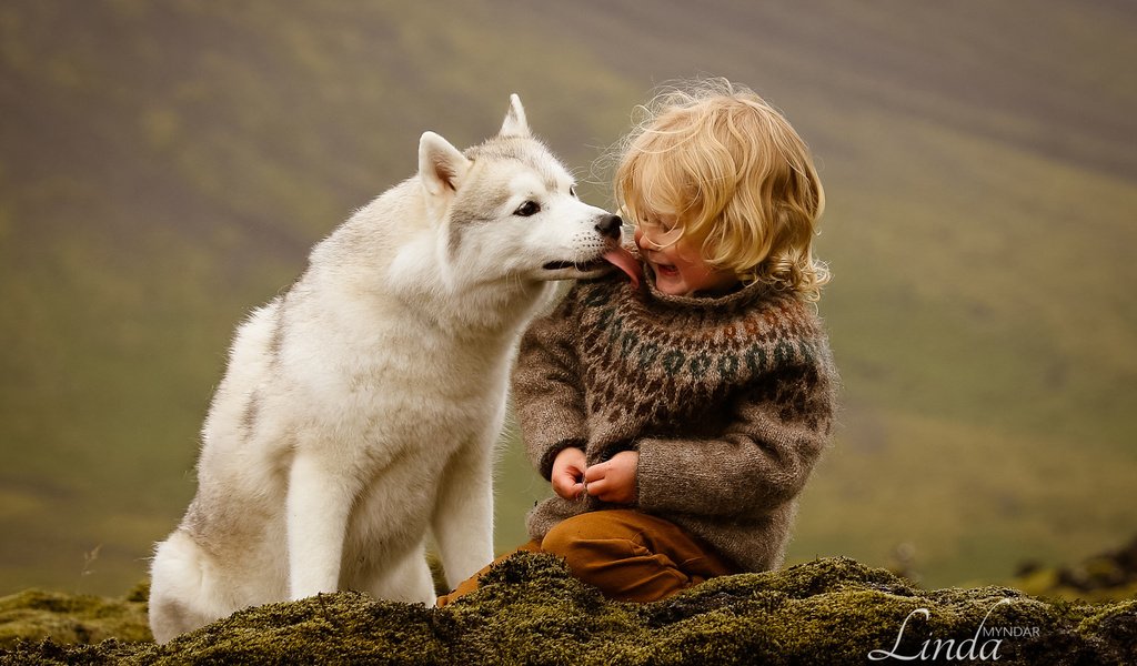 Обои собака, мальчик, хаски, исландия, дружба, друзья, dog, boy, husky, iceland, friendship, friends разрешение 1920x1200 Загрузить