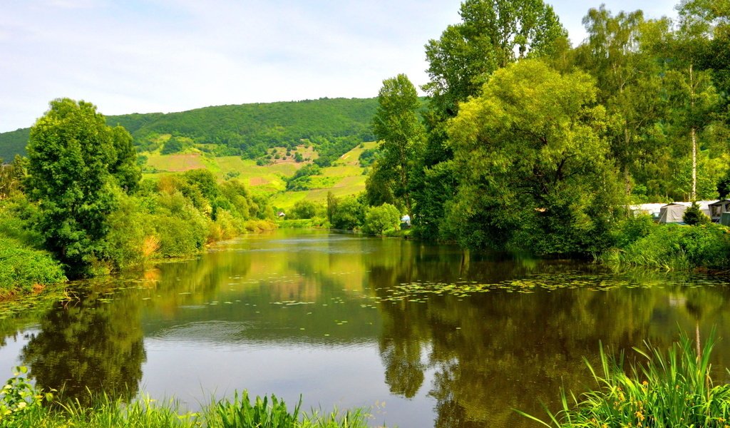 Обои река, зелень, лес, лето, германия, мозель, river, greens, forest, summer, germany, moselle разрешение 1920x1200 Загрузить