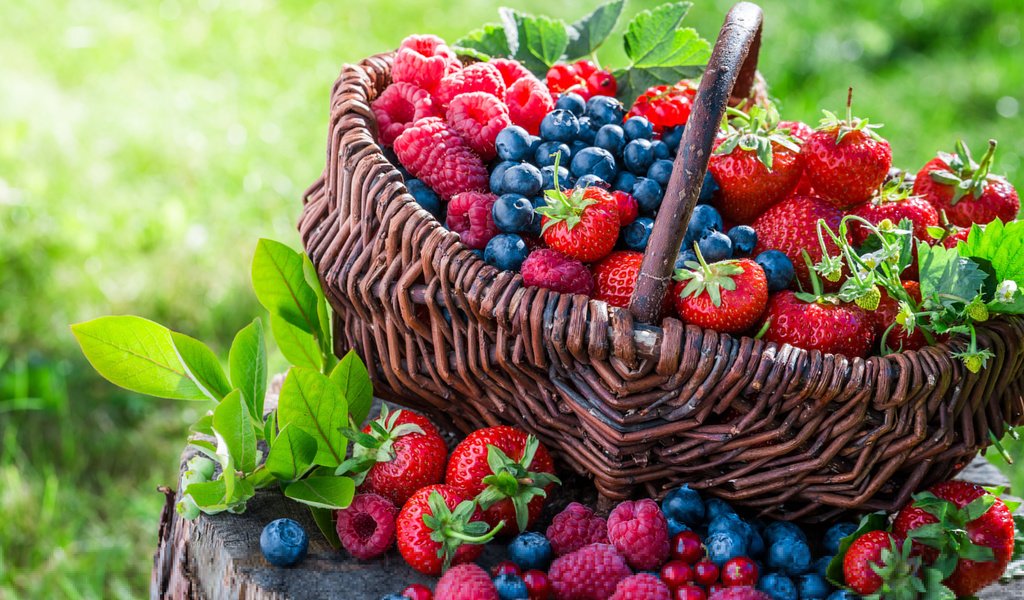 Обои малина, клубника, корзина, ягоды, черника, raspberry, strawberry, basket, berries, blueberries разрешение 3840x2400 Загрузить