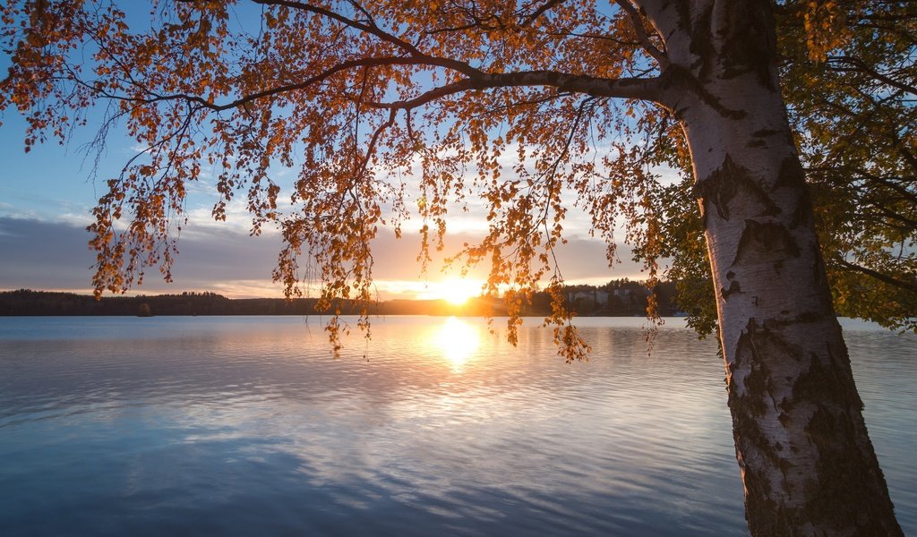 Обои озеро, природа, дерево, закат, пейзаж, осень, lake, nature, tree, sunset, landscape, autumn разрешение 2880x1800 Загрузить