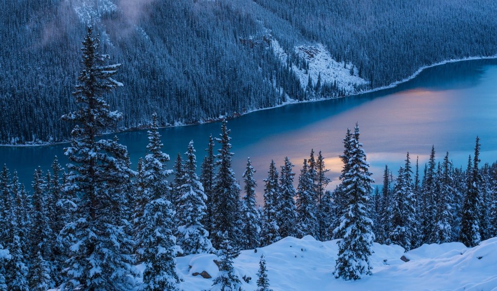 Обои река, природа, лес, зима, river, nature, forest, winter разрешение 2880x1800 Загрузить