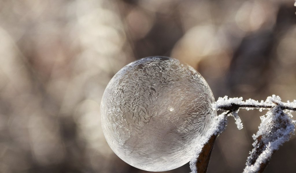 Обои зима, настроение, мороз, иней, пузырь, мыльный пузырь, winter, mood, frost, bubble разрешение 1920x1312 Загрузить