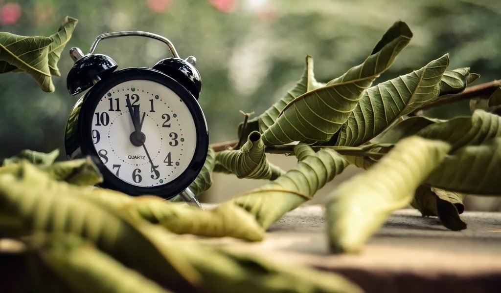 Обои листья, часы, время, будильник, циферблат, боке, ayeshadows, leaves, watch, time, alarm clock, dial, bokeh разрешение 2048x1365 Загрузить