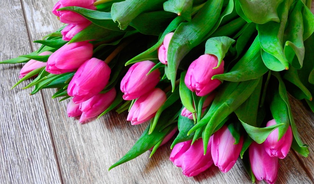 Обои цветы, весна, букет, тюльпаны, розовые, деревянная поверхность, flowers, spring, bouquet, tulips, pink, wooden surface разрешение 3840x2880 Загрузить