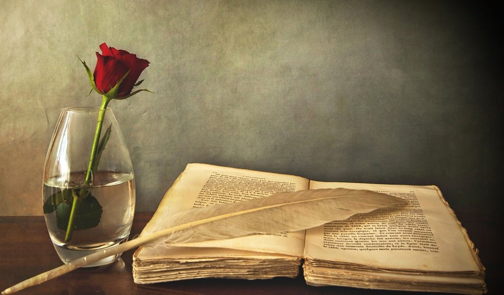 Обои роза, красная, стол, ваза, книга, перо, старая, rose, red, table, vase, book, pen, old разрешение 2560x1600 Загрузить