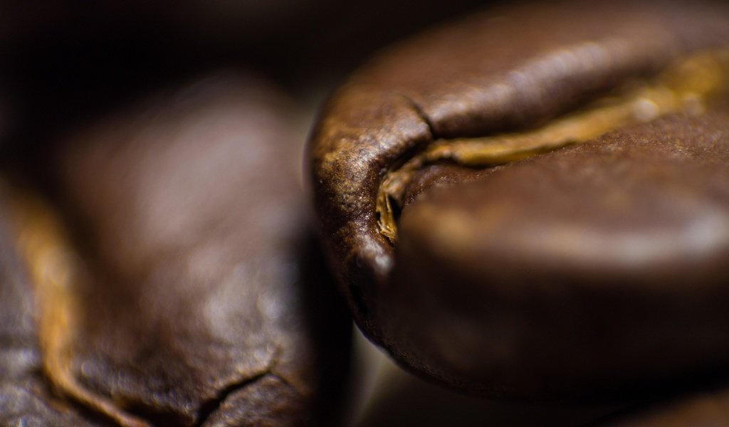 Обои кофе, кофейные зерна, крупным планом, coffee, coffee beans, closeup разрешение 4608x3072 Загрузить