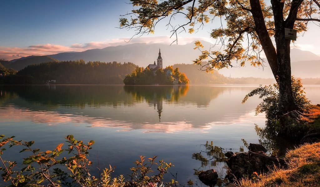 Обои озеро, дерево, отражение, утро, церковь, словения, озеро блед, lake, tree, reflection, morning, church, slovenia, lake bled разрешение 1920x1282 Загрузить