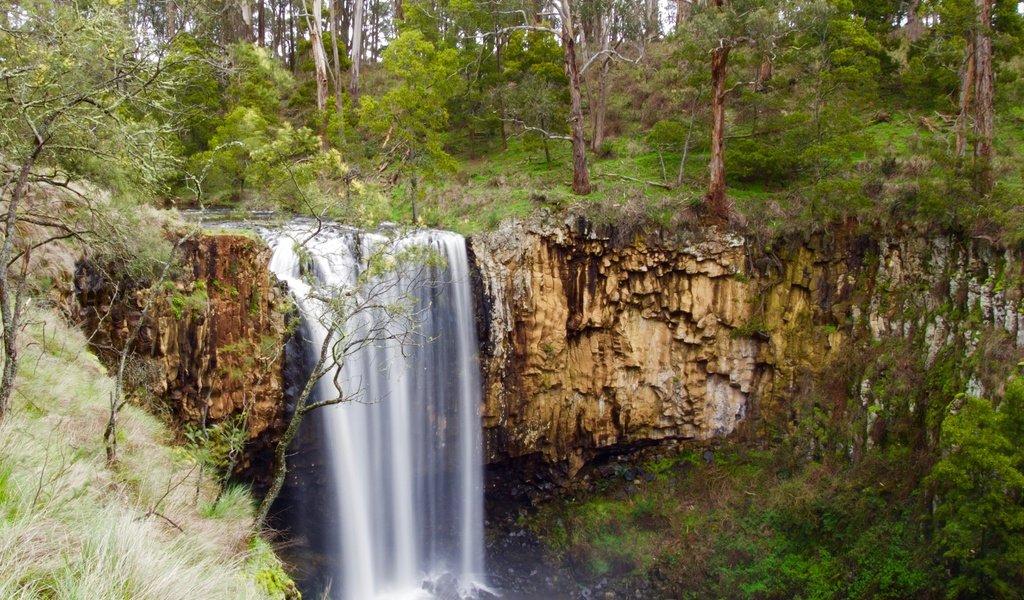 Обои деревья, природа, лес, пейзаж, скала, водопад, обрыв, trees, nature, forest, landscape, rock, waterfall, open разрешение 4055x2922 Загрузить