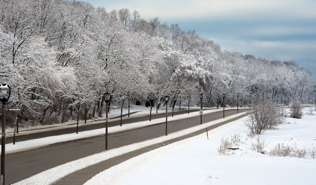 Обои дорога, деревья, фонари, снег, зима, ветки, город, улица, road, trees, lights, snow, winter, branches, the city, street разрешение 1920x1080 Загрузить