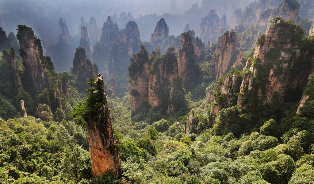 Обои горы, zhangjiajie, zhangjiajie national forest park, скалы, zhangjiajie national park, чжанцзяцзе, природа, пейзаж, утро, туман, китай, национальный парк, mountains, rocks, nature, landscape, morning, fog, china, national park разрешение 5119x3340 Загрузить