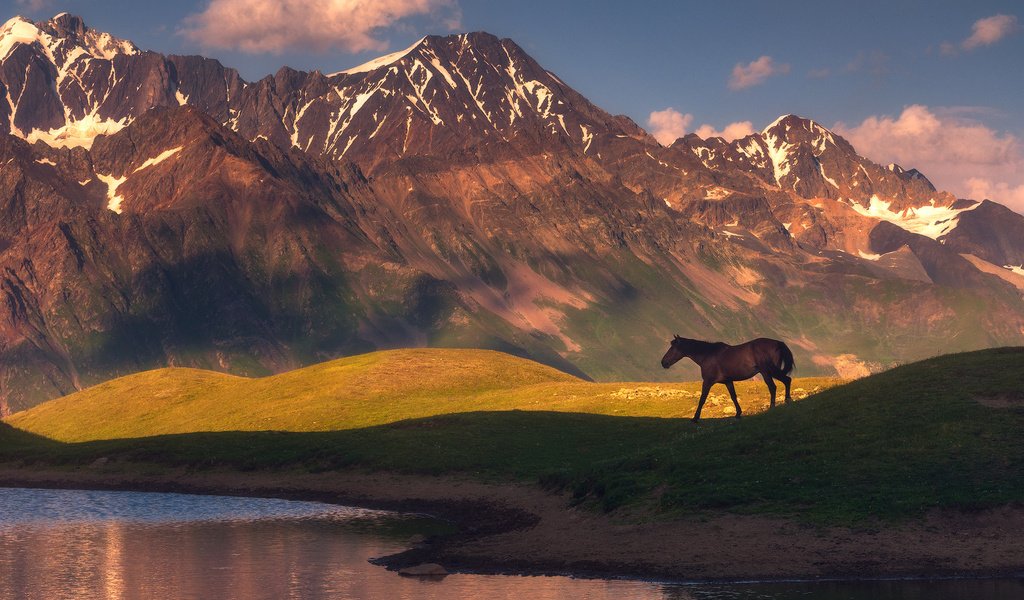 Обои лошадь, озеро, горы, природа, конь, horse, lake, mountains, nature разрешение 1942x1300 Загрузить