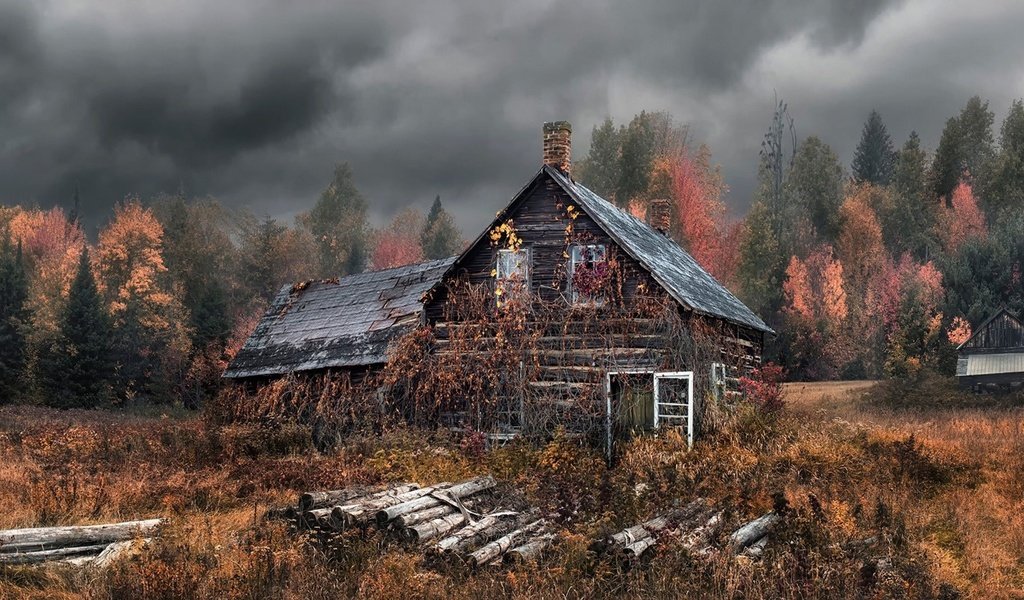 Обои деревья, лес, тучи, осень, дом, бревна, изба, заброшенный, trees, forest, clouds, autumn, house, logs, hut, abandoned разрешение 1920x1080 Загрузить