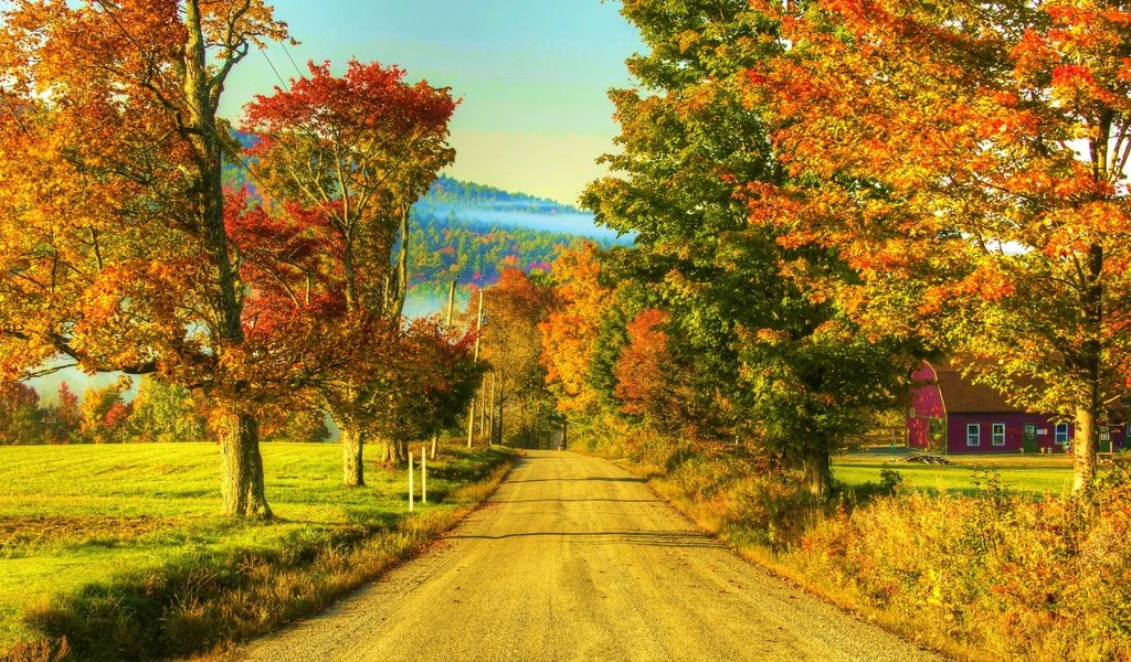 Обои дорога, деревья, природа, пейзаж, осень, дом, природа., road, trees, nature, landscape, autumn, house, nature. разрешение 4445x2542 Загрузить